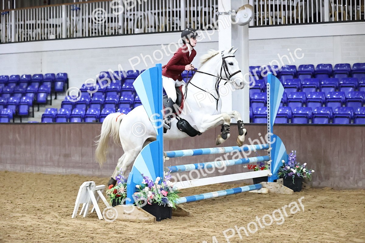 SBM_002020 - Class 8 - Senior British Novice - 90cm
