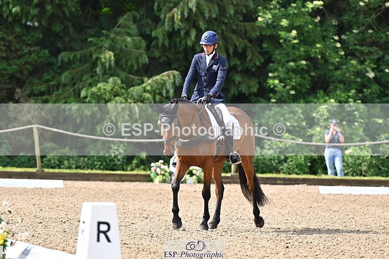 250523A-094114-05307 - C-258-Bill.Levett-ITALIAN.HARLEQUIN.NJ