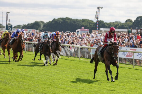 yr18082021r4-76 - Race 4 3.35pm Juddmonte International Stakes (British Champion Series race)