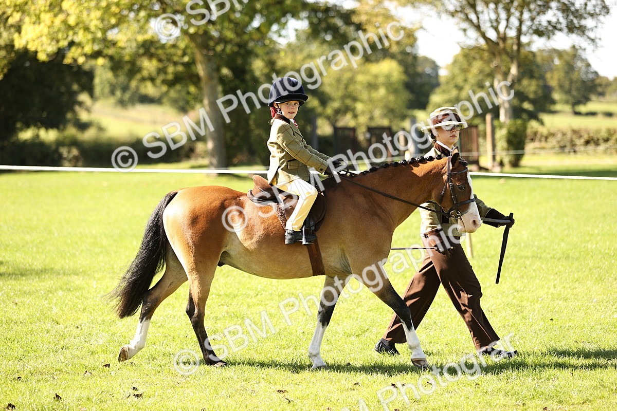 SBM_19208 - S3 - TSR Ridden Pony Showing