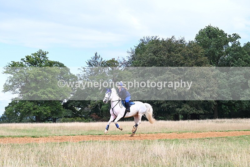 DSC_8798 - Time at Statue 14:33 to 15:10