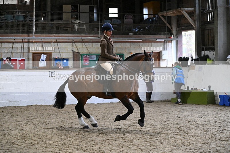 WJ7_3842 - Class 17 Ridden Cob