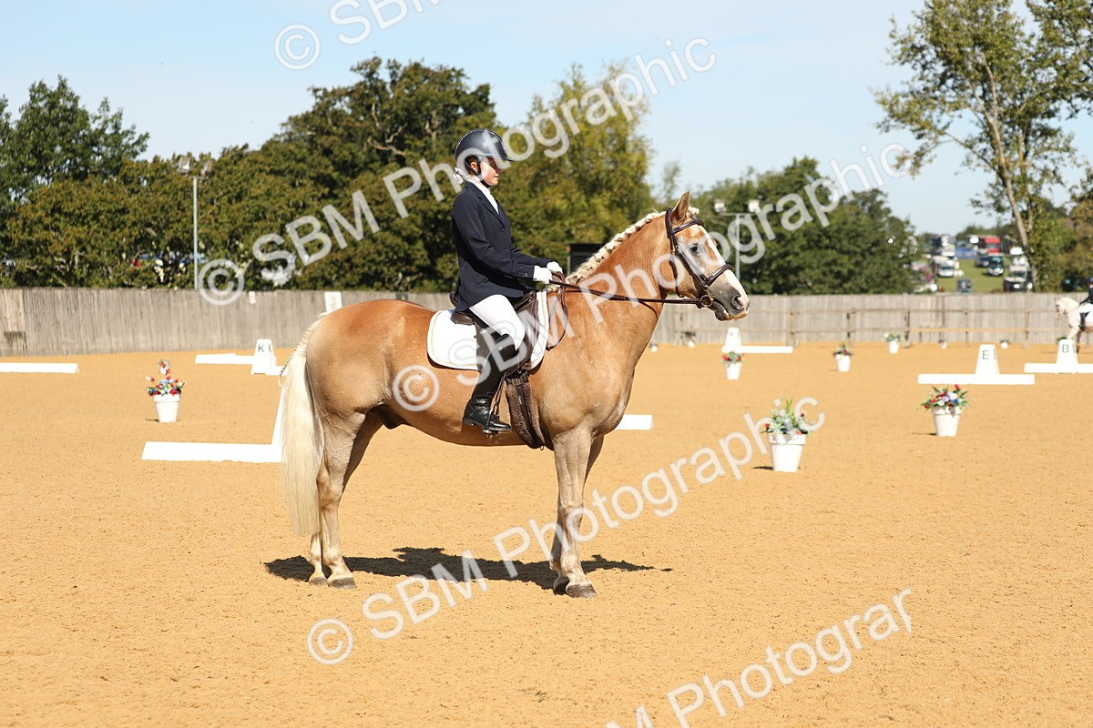 SBM_19756 - D10 - Small Tour Championship - Prelim 2