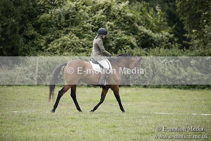 BVR080918 203 - BVRC Novice Dressage & CR 08/09/18