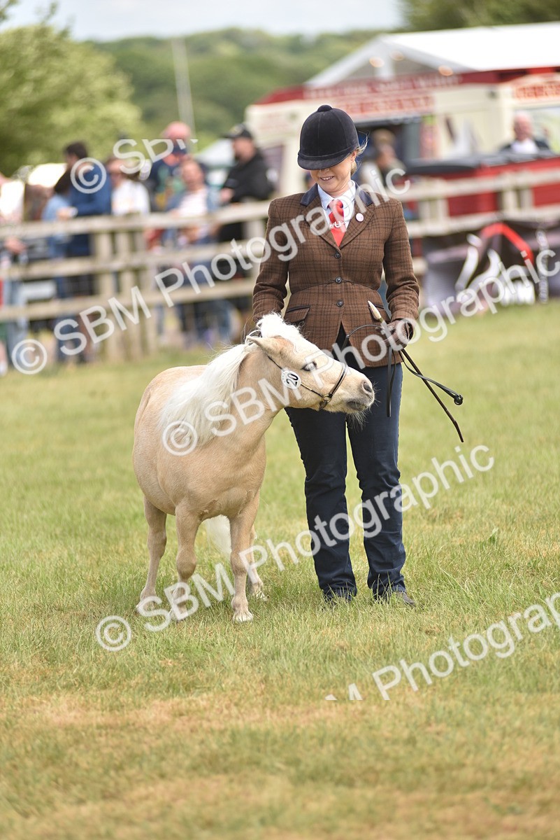 SBM_16053 - Class 117-122 - SSADL RIHS Qualifier