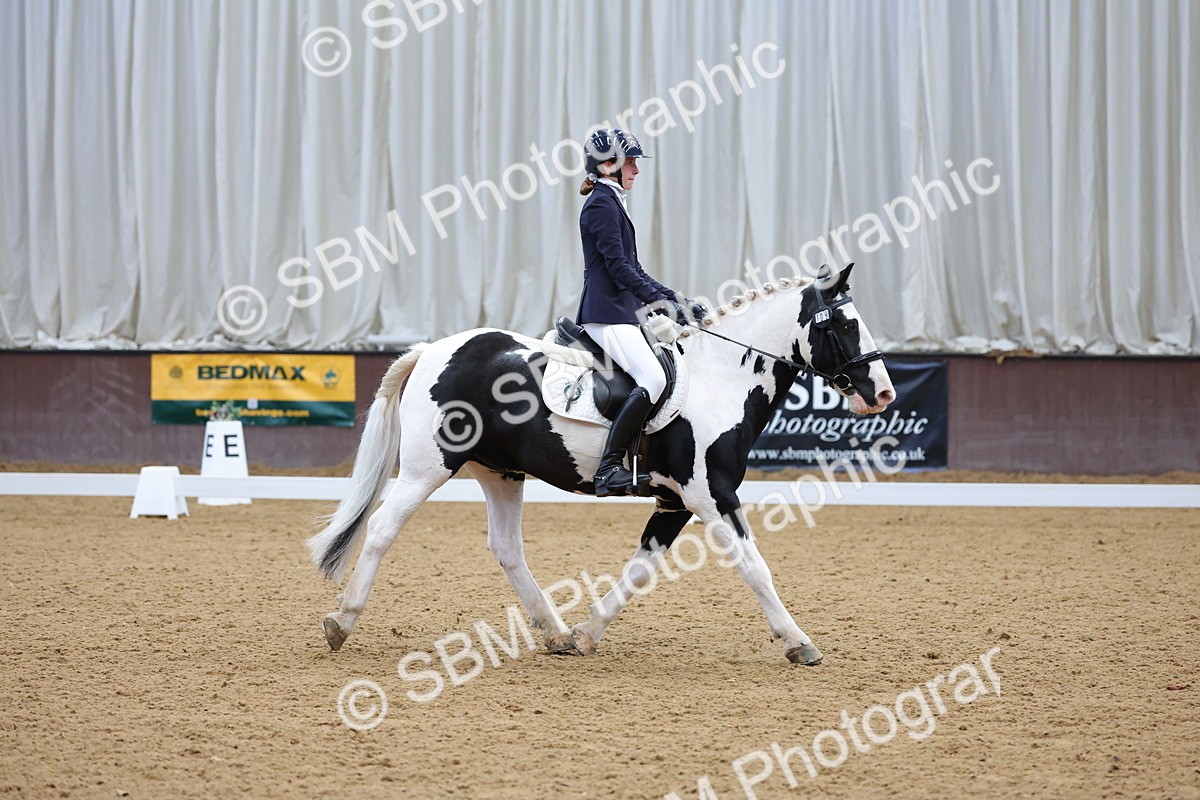 SBM_002603 - Novice