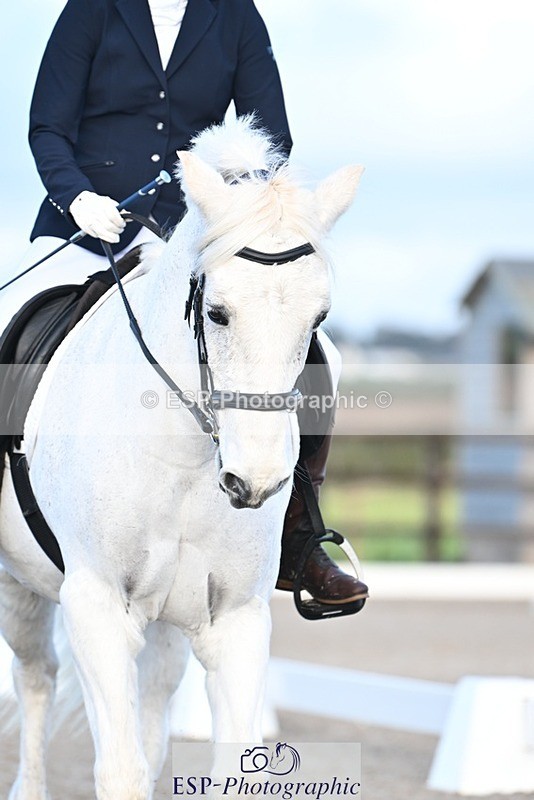 231105-144809-02477 - Cls 5 Novice 27 Start to 15.30 break