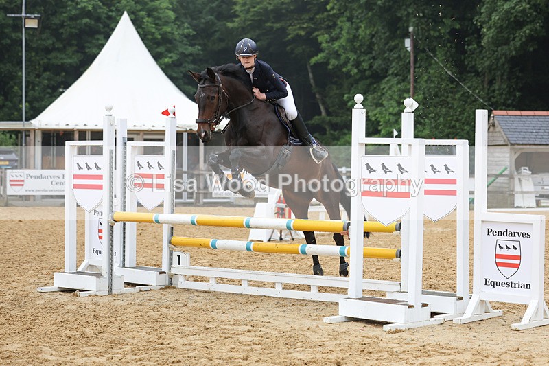 3E7A5461 - Class 4: Senior British Novice/90cm open