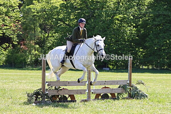 IMG_3863 - Working Hunter