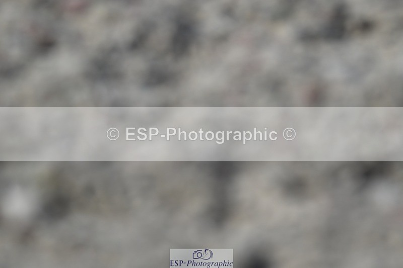 250621-165057-11236 - Cls 32 - Medium 5, 16.15 to End