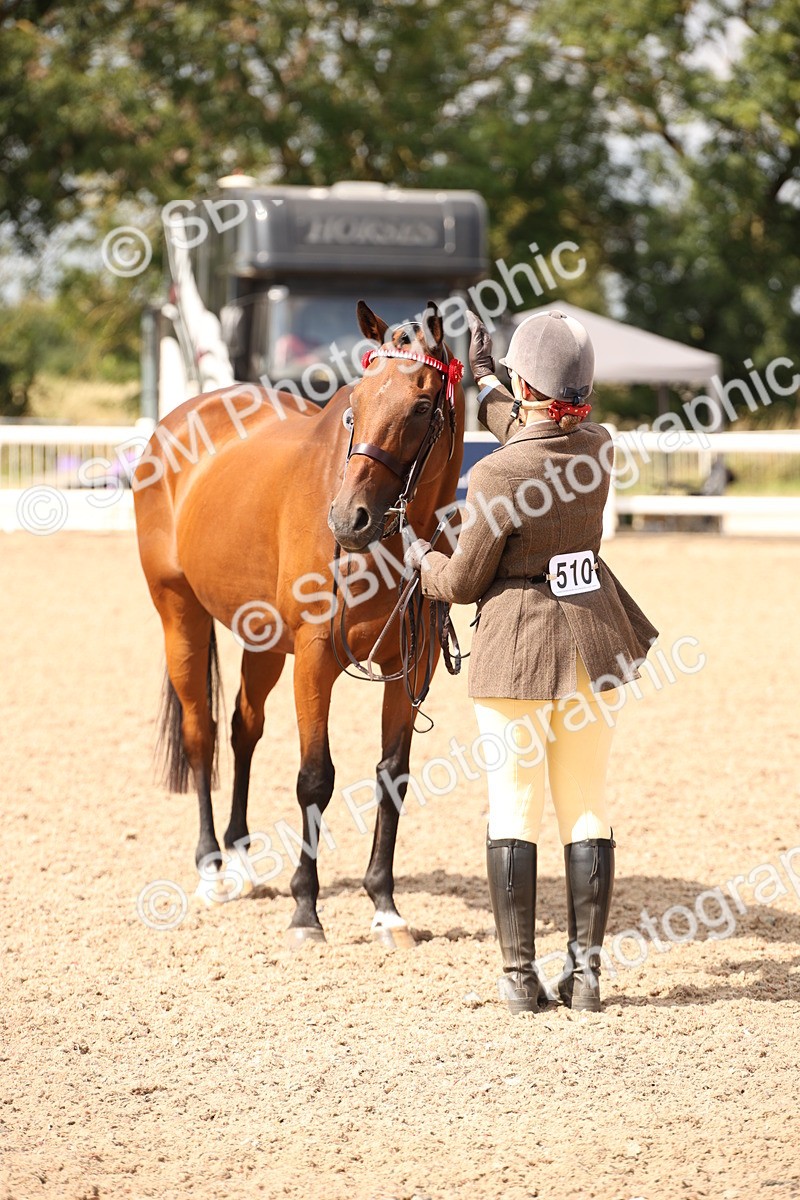 SBM_04656 - Class 20 IH Veteran