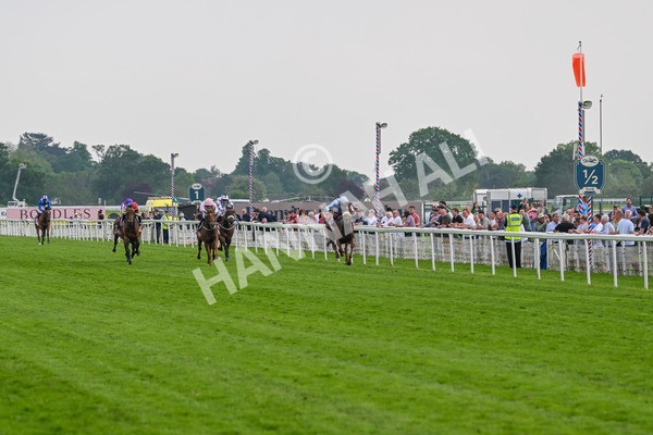 170524-Race 4-Giavellotto-8053 - Race 4 3.45pm Boodles Yorkshire Cup Stakes