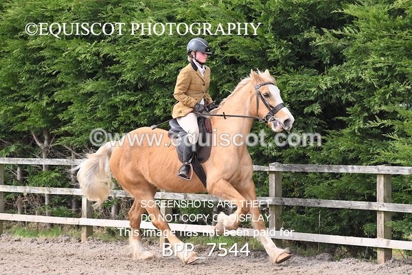 BPP_7544 - RING 1  (RIDDEN HORSES / IN HAND / VETERAN ETC)