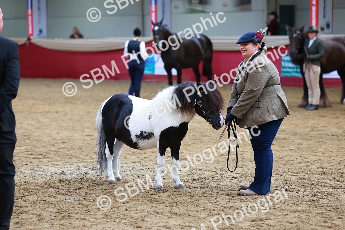 SBM_18687 - Class 903 - Sup Final - IH Pre Vet