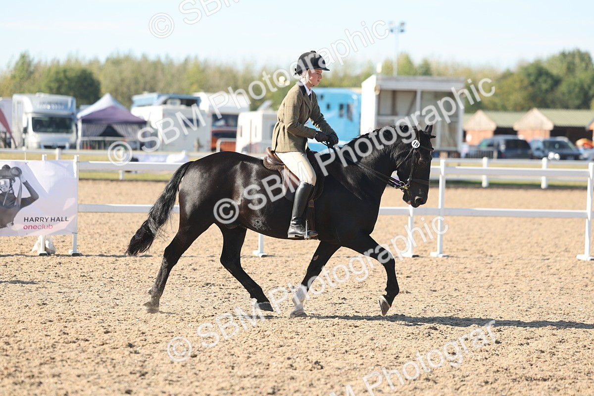 SBM_12328 - Class 304 - Ridden part Bred Horse Pony