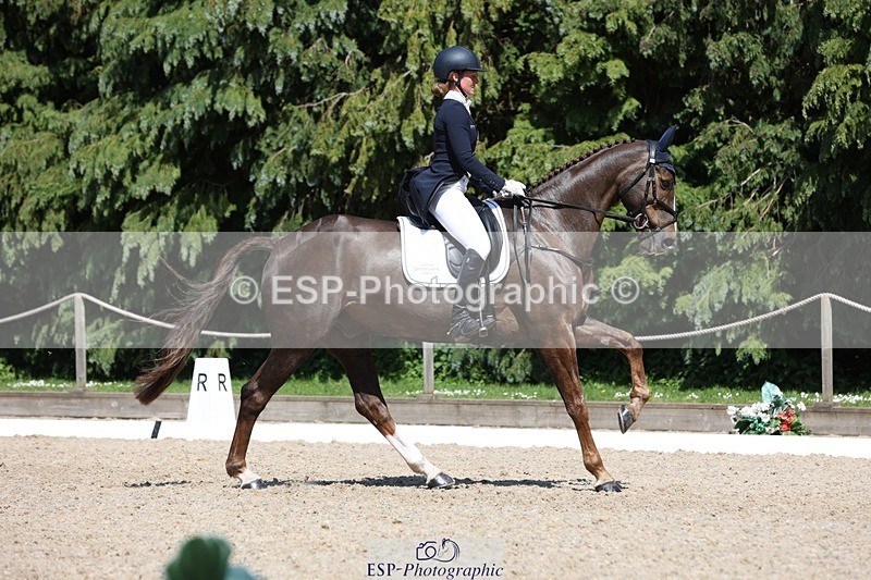 230526-145654-06589 - 376-DIRECT_BALLYTARSNA_DUCAREL-Jodie_Amos-WEDTrotUp+DR