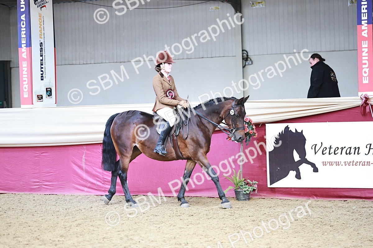 SBM_08619 - Regional Ridden Champ