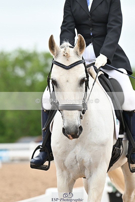 240623A-142818-19027 - Cls 51 BD Elementary 53