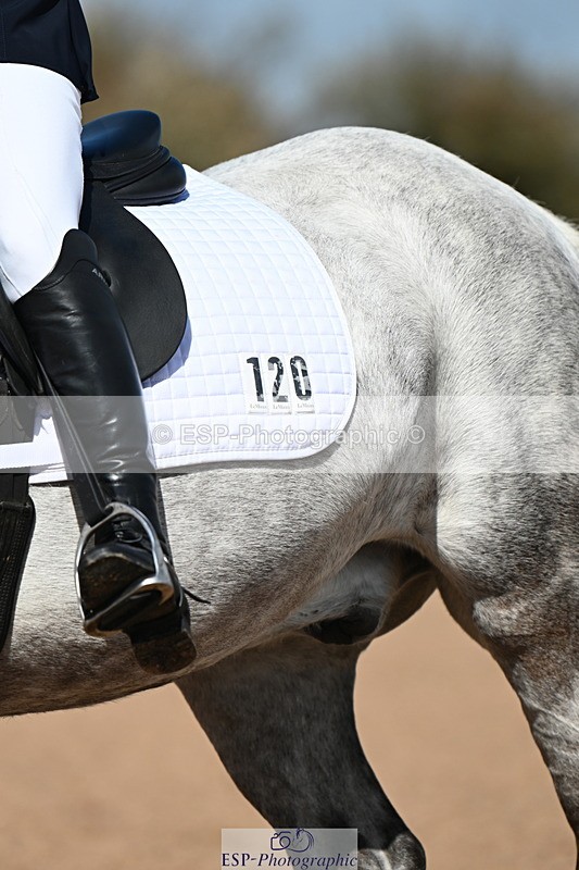 240323A-112833-02631 - DR Novice 24