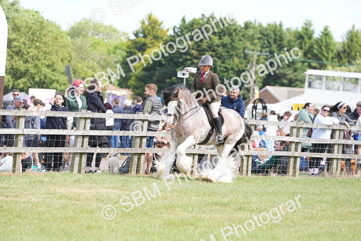 SBM_17144 - Class 107-108 - LIHS BSPS Performance Coloured Horse Pony