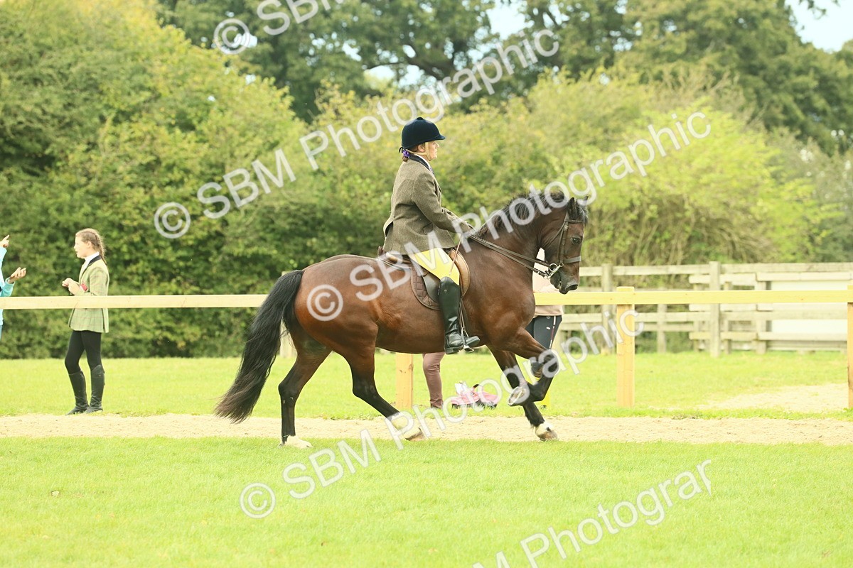 SBM_71988 - S60 - Mountain & Moorland Ridden Large Breeds