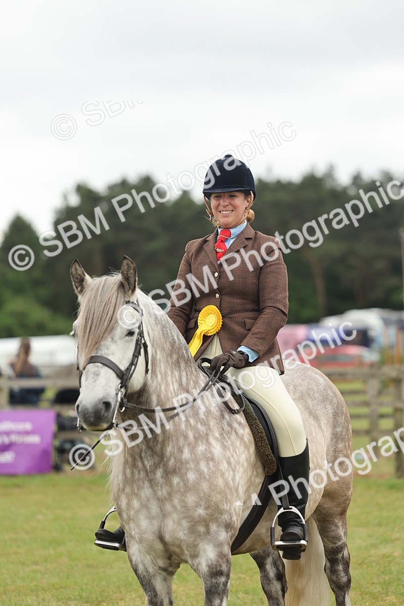 SBM_09056 - Class 78-80 - Ridden M&M Non Welsh Ponies