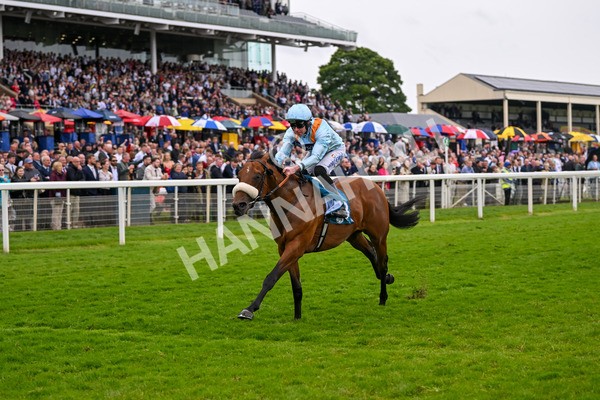 150624-Race 5-The Strikin Viking-7666 - Race 5 4.10pm Reg Griffin Appreciation ebfstallions.com Maiden Stakes