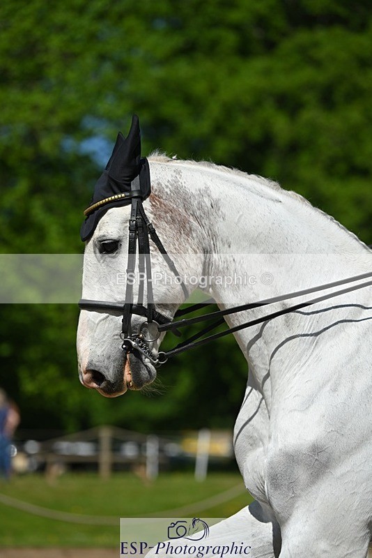 230526-102102-05588 - 460-HELLIOS_BH-Will_van_Ufford-DR