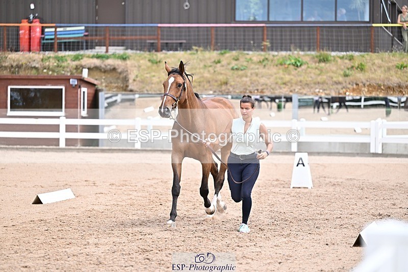 250716-131908-00432 - Trot Up 12.30 to 1.30