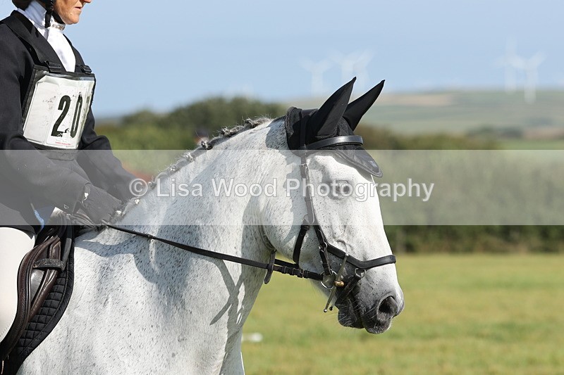 JPP_8056 - Class 2A: Trekenning Open: Dressage