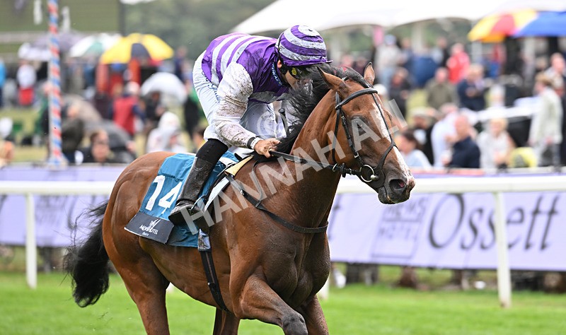 200826-166 Mia Fantasia - Race 6 16.45pm Mews Hotel Ossett EBF Stallions Nursery Handicap