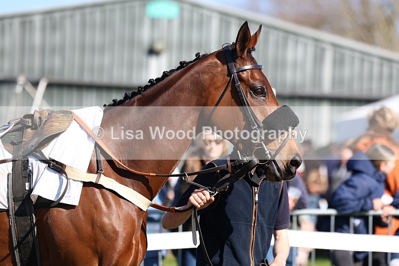 3E7A5580 - Race 6: Maiden (NWFAA)