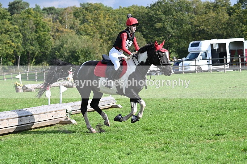 WJ7_4882 - 60cm Time 11:11 to 11:19