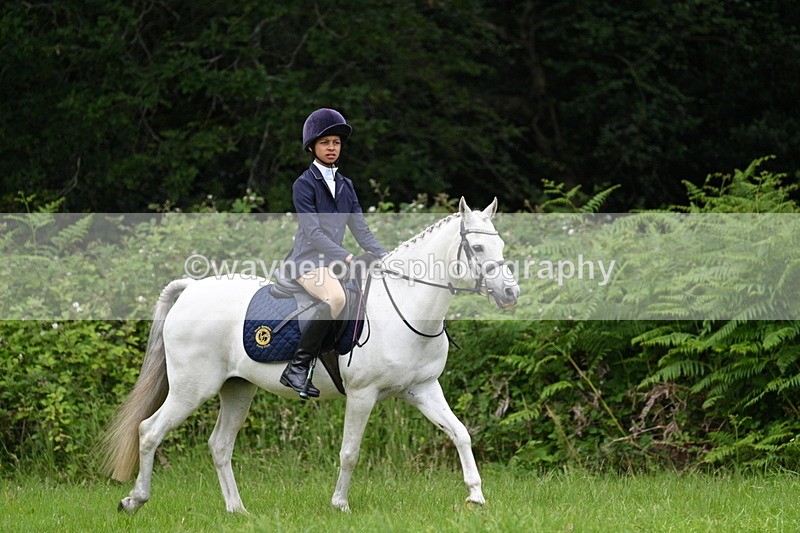 WJ7_3821 - Class 14A Handsome Gelding
