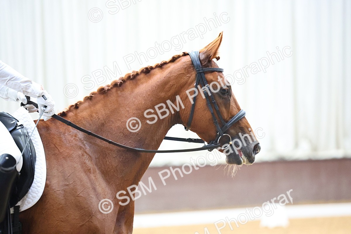 SBM_021727 - Class 14 - N6