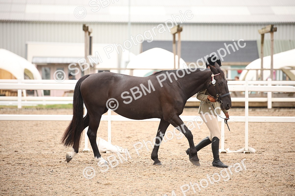SBM_19305 - Class 701 - Best Turned Out IH & Ridden