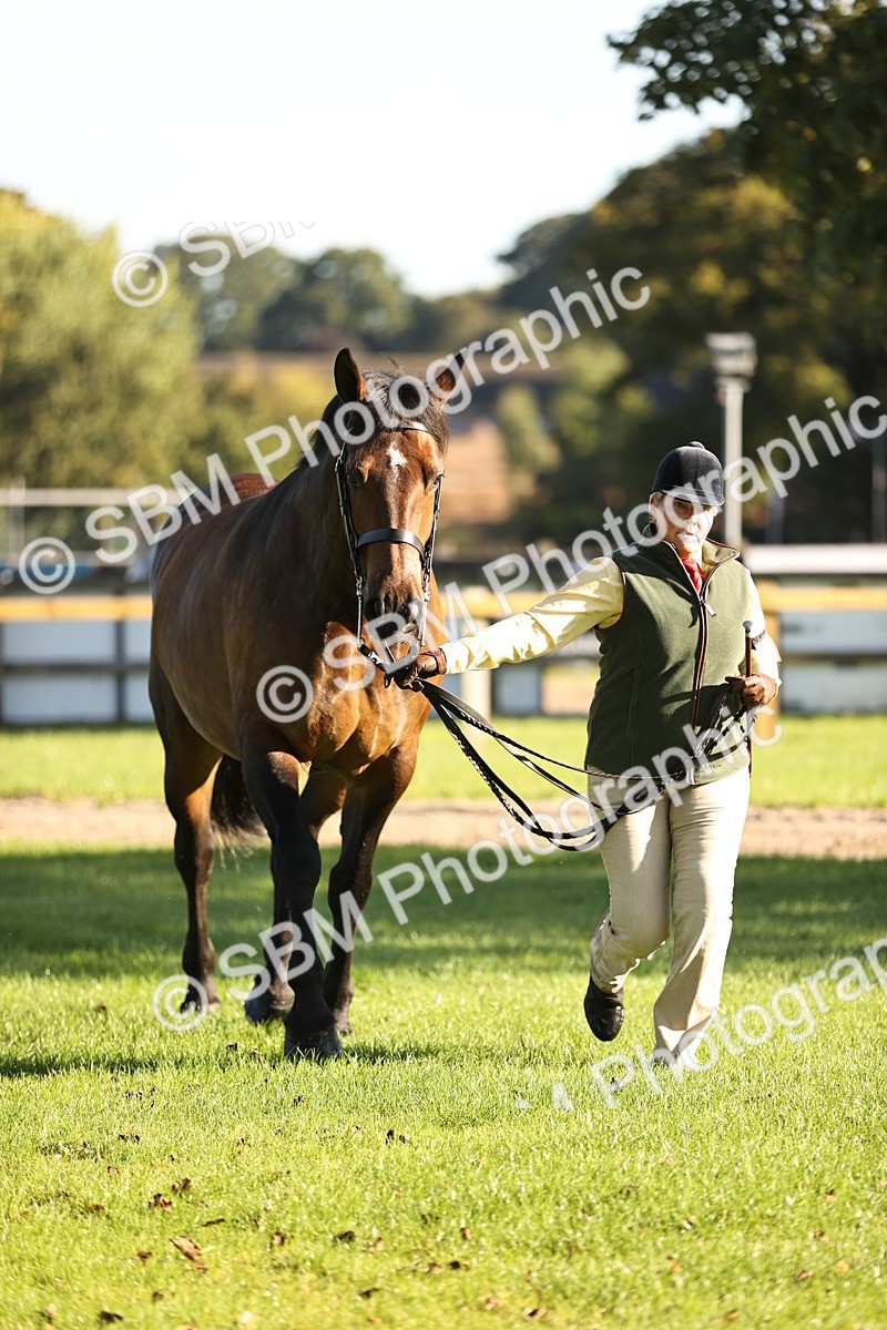 SBM_15730 - S1 - TSR in Hand Horse & Pony Showing