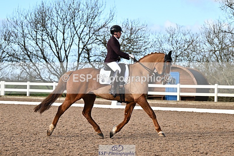 241214-133940-02527 - 112-kelly.jewell-Avalon