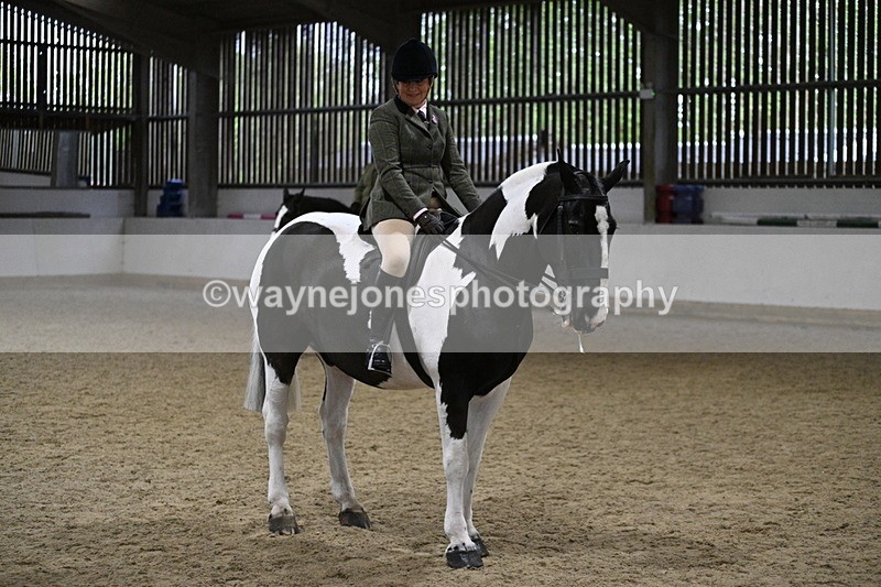 WJ7_4046 - Class 17 Ridden Cob