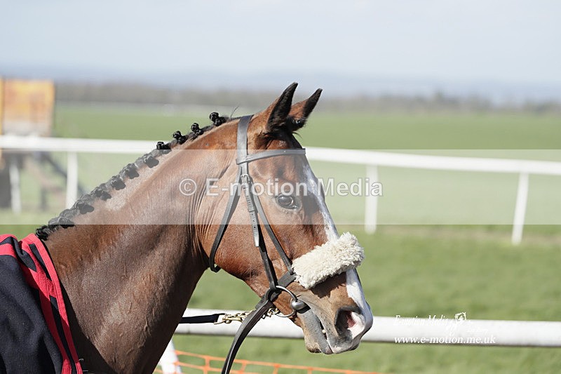 PtP 100423 1193 - Old Berkshire Point-to-Point Lockinge 10/04/23