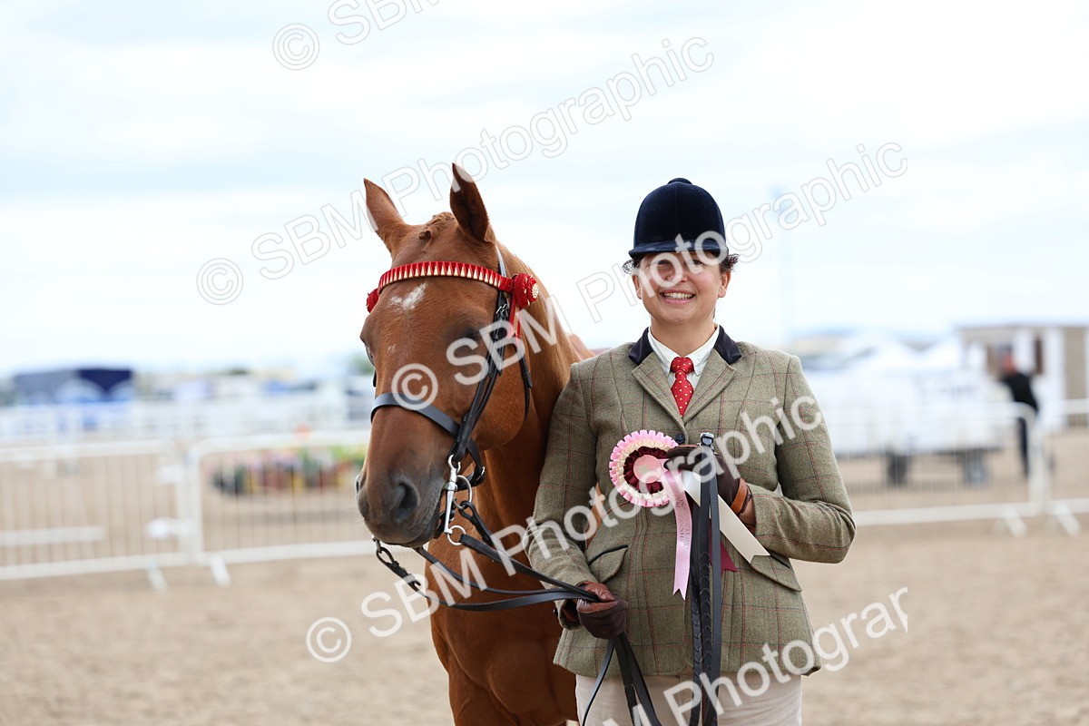 SBM_05801 - Class 28 - IH Veteran Horse