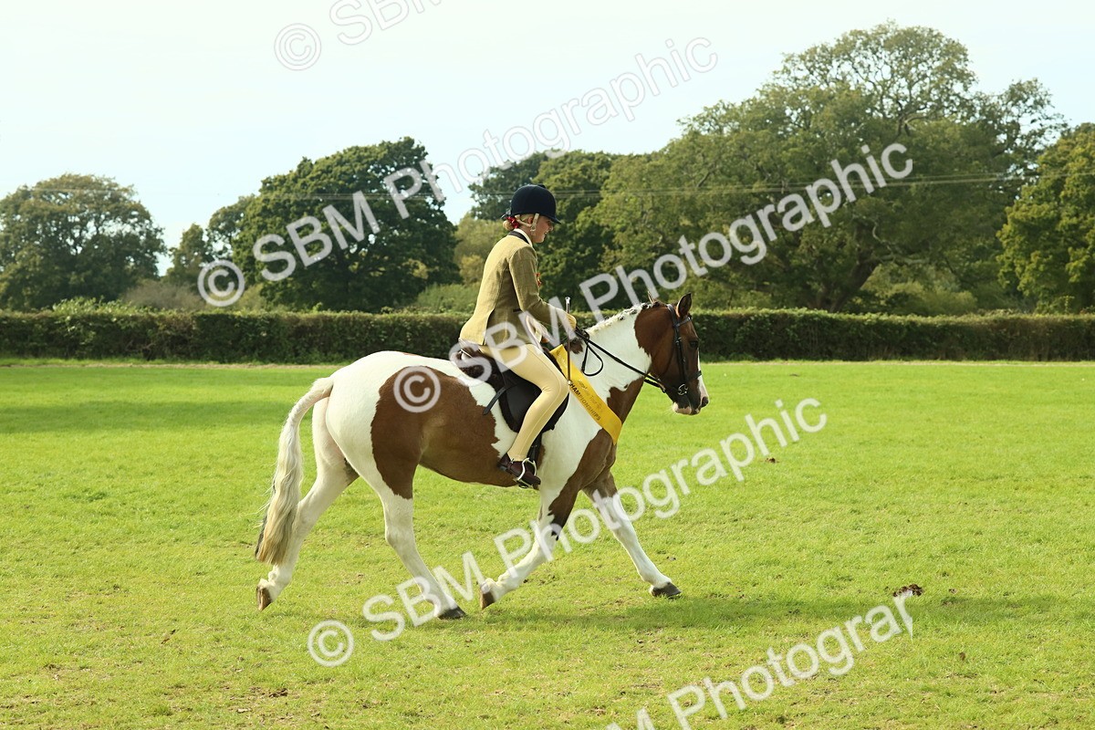 SBM_68168 - S57 - Part Bred Pony Ridden