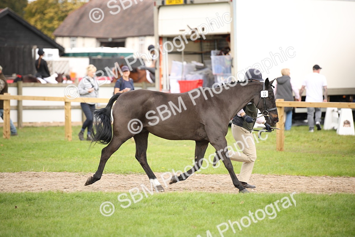 SBM_46326 - S25 - Mature Veteran In Hand