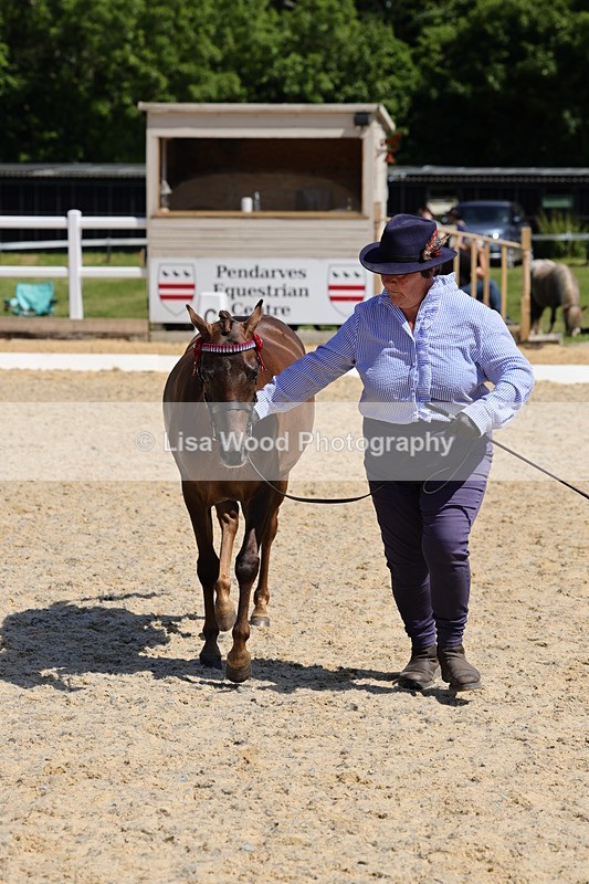 1X9A1139 - Class 9: Open Part Bred