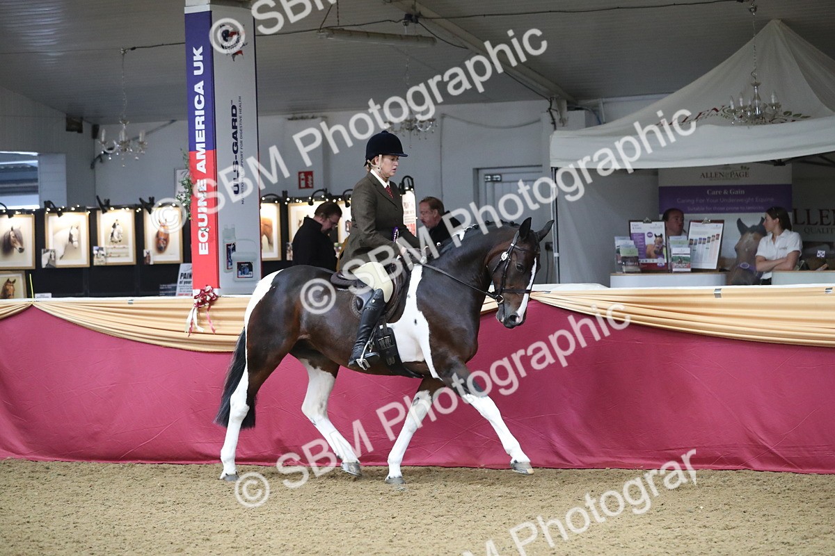 SBM_10484 - Class 102 Equitation (best rider) Adult