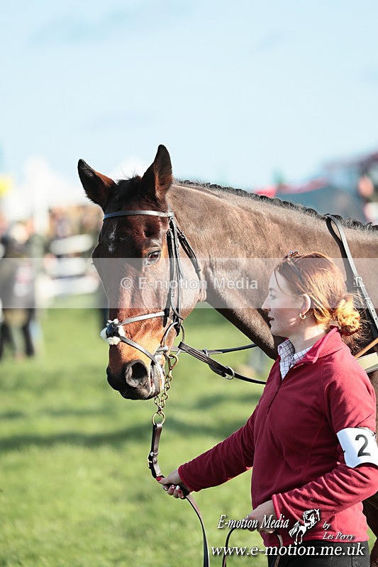 PtP 301125  0237 - Hursley Hambledon Point-to-Point Larkhill Racecourse 30/12/2025