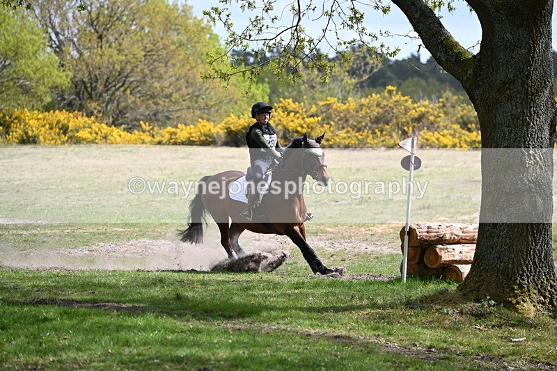 WJ6_9782 - Time 12:04 to 12:24