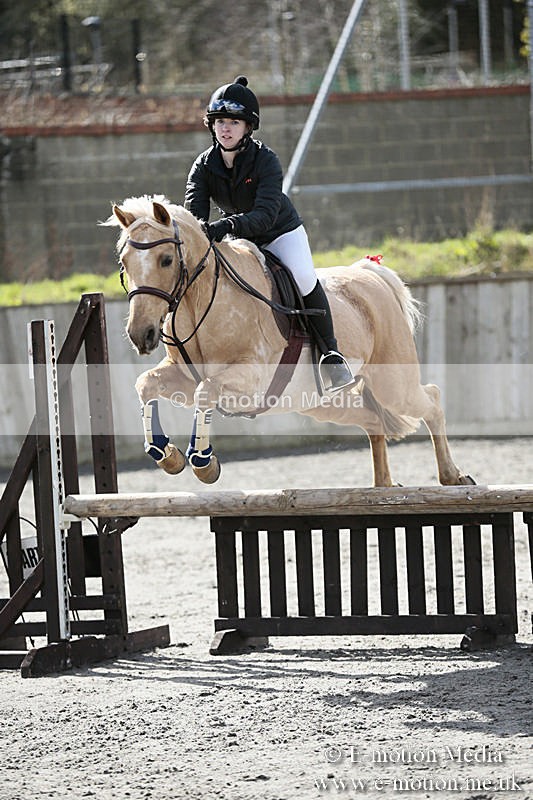 BVRC SJ 170319 441 - Bourne Valley Riding Club Showjumping 17/03/19