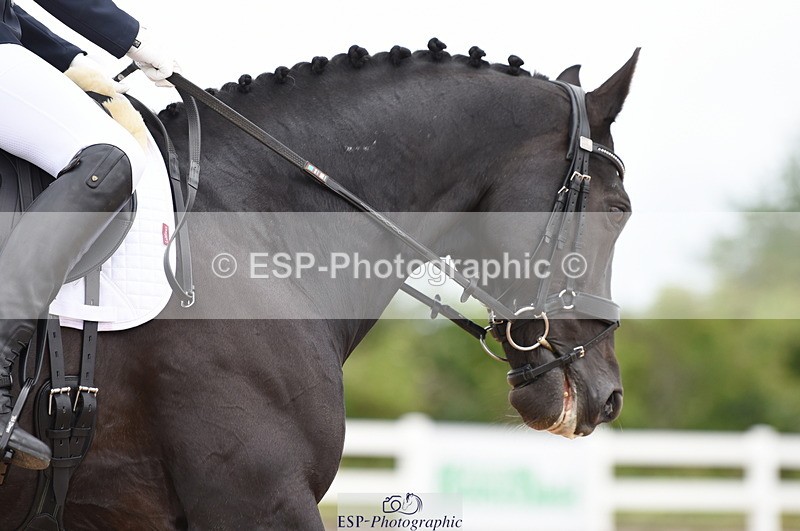 230630A-103838-00815 - Cls 4 Novice 23 Start to 11.30 break