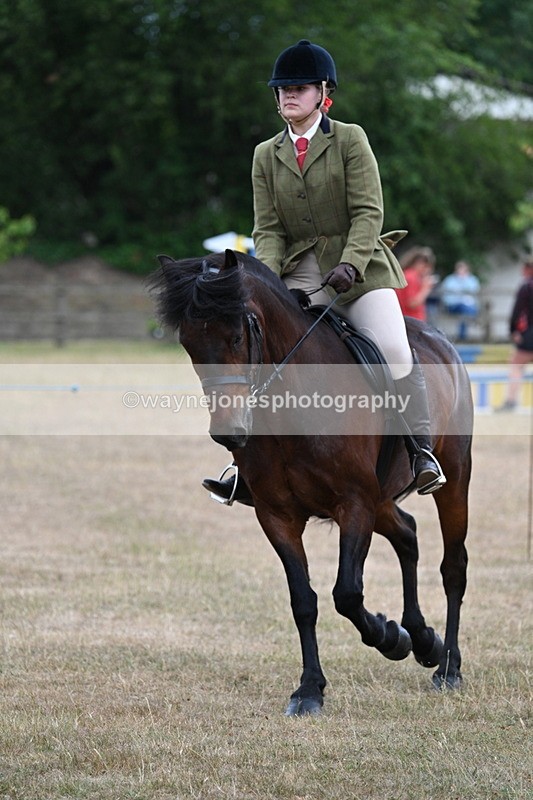 WJ7_0624 - Class 6 Ridden Mountain and Moorland
